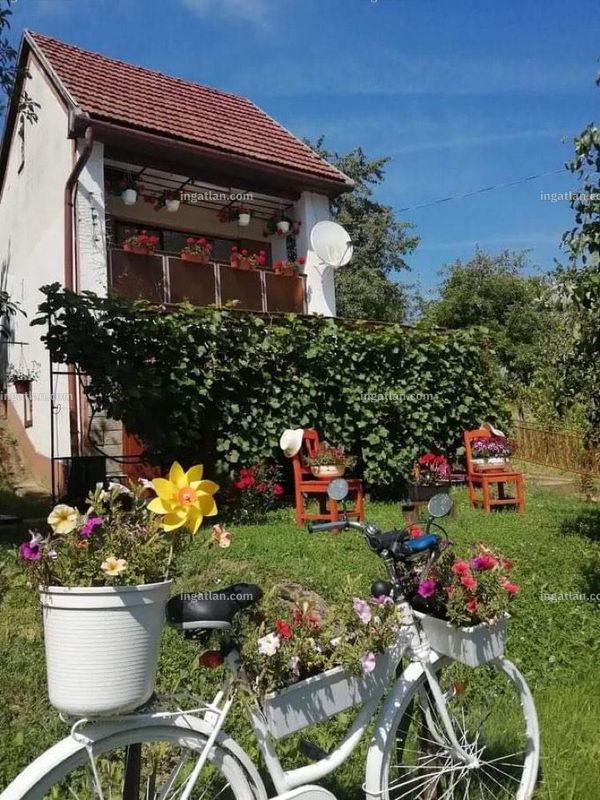 Foto auflisten