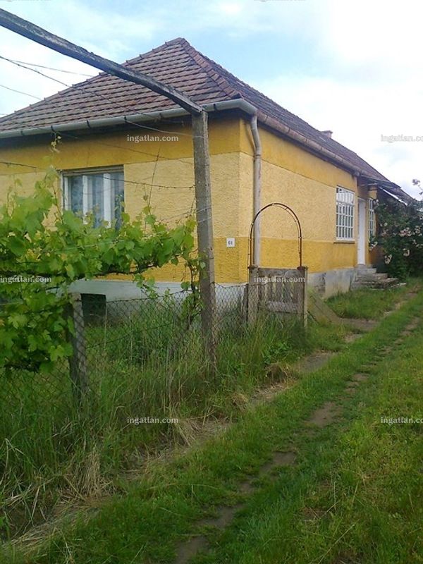 Foto auflisten