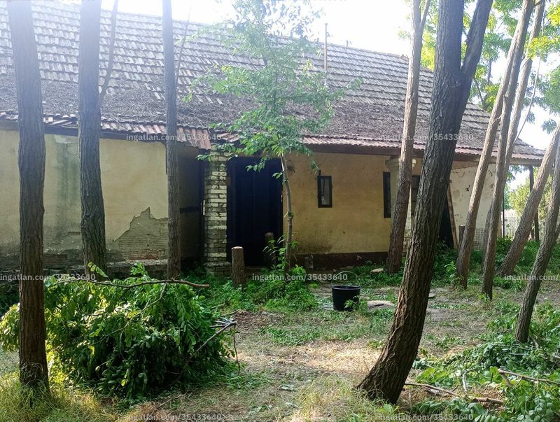 Ingatlan kép