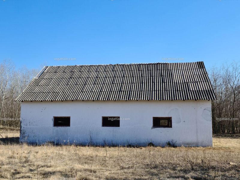 Listing photo