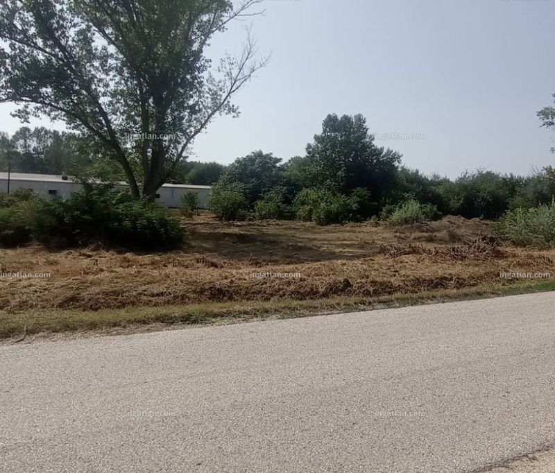 Ingatlan kép