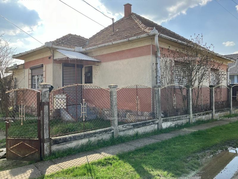 Ingatlan kép