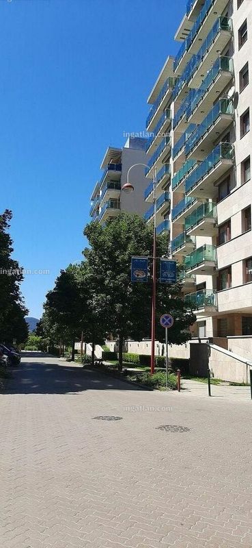 neighborhood