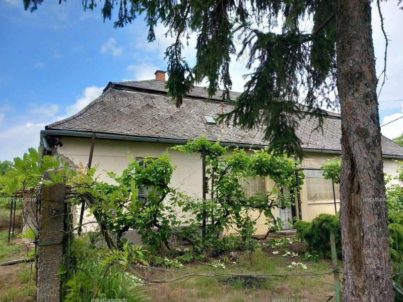 Foto auflisten