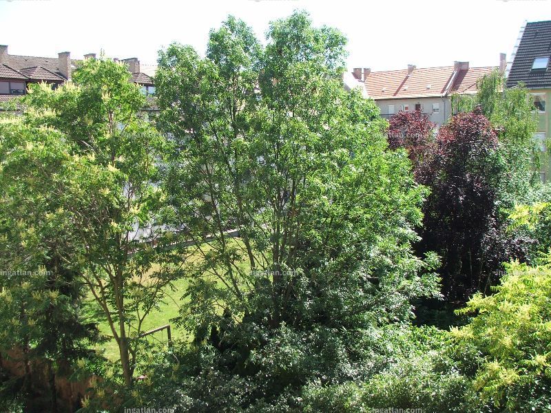 Aussicht