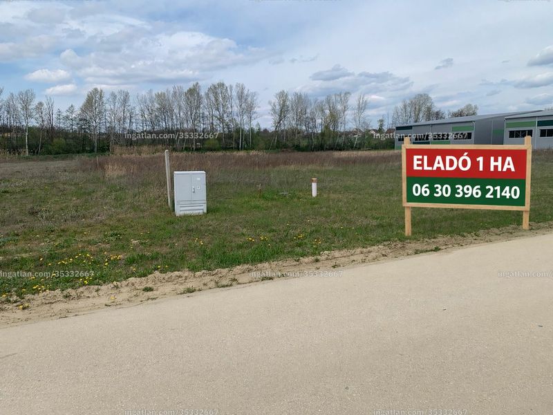 Hirdetés fotója