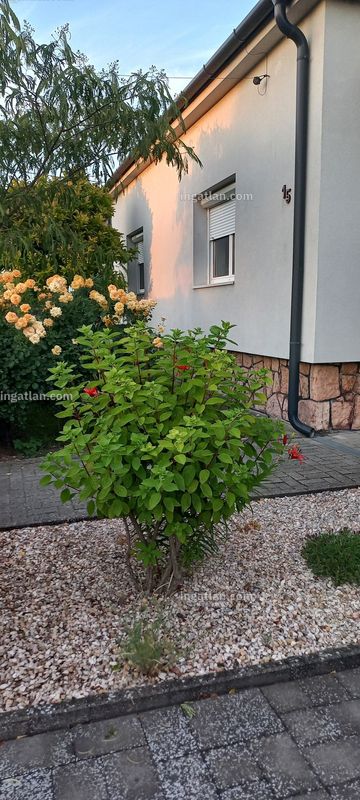 Auswendig