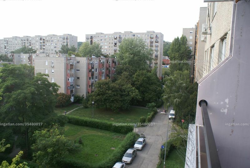 kilátás