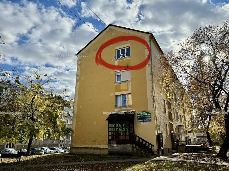 Foto auflisten