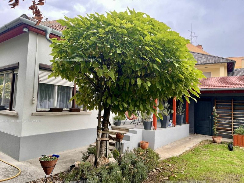 Ingatlan kép
