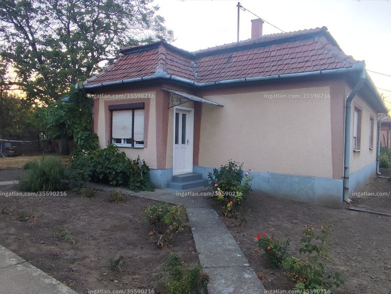 Kép az ingatlanról