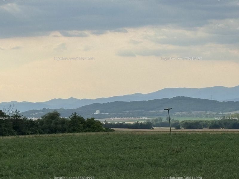 Foto auflisten