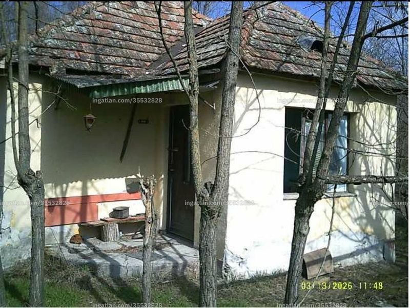 Hirdetés fotója