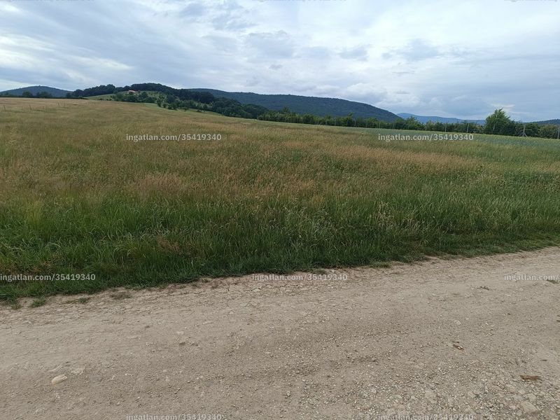 Foto auflisten