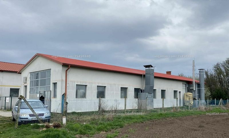 Ingatlan kép