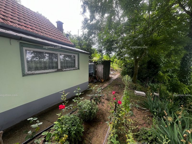 Foto auflisten