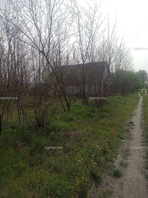 Bild über die Immobilie