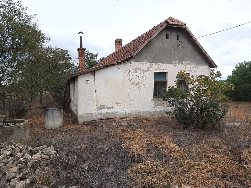 Kép az ingatlanról