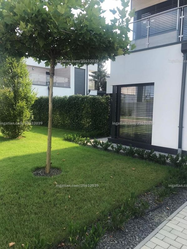 Bild über die Immobilie