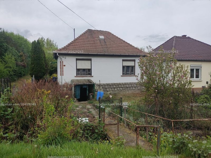 Ingatlan kép