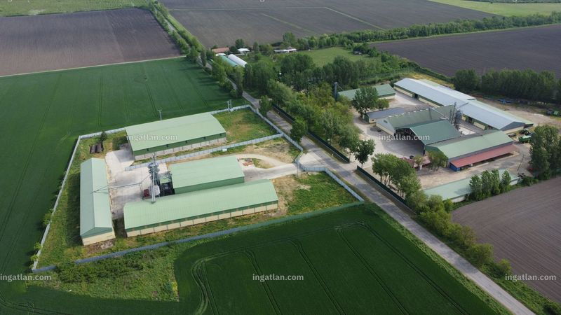 Hirdetés fotója