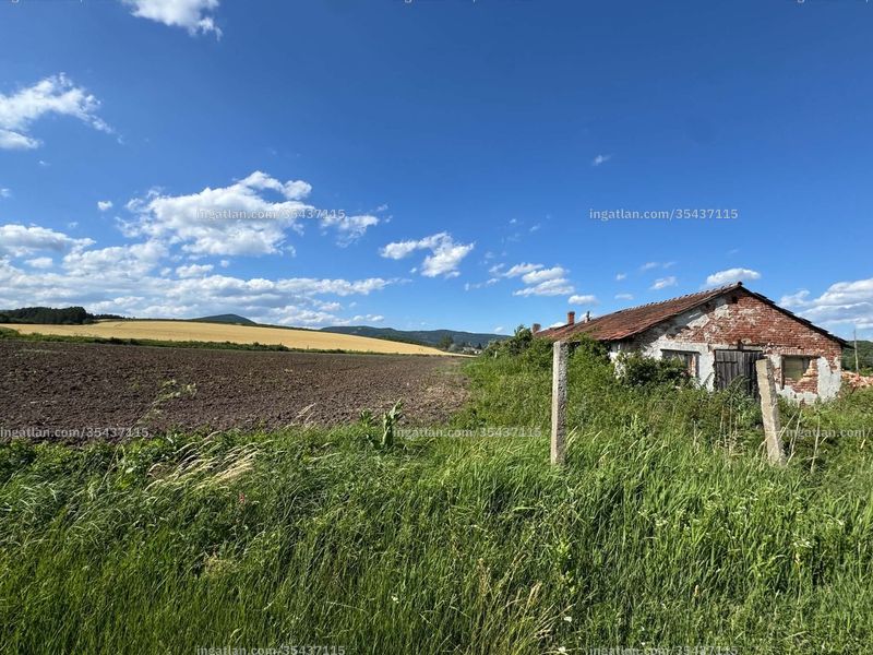 Foto auflisten