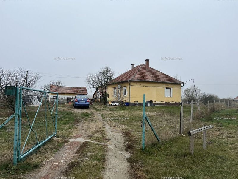 Foto auflisten