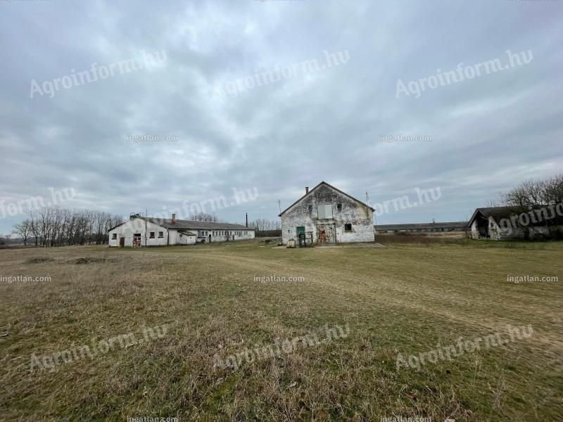 Listing photo