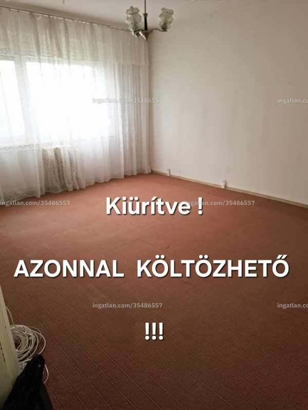 Ingatlan kép