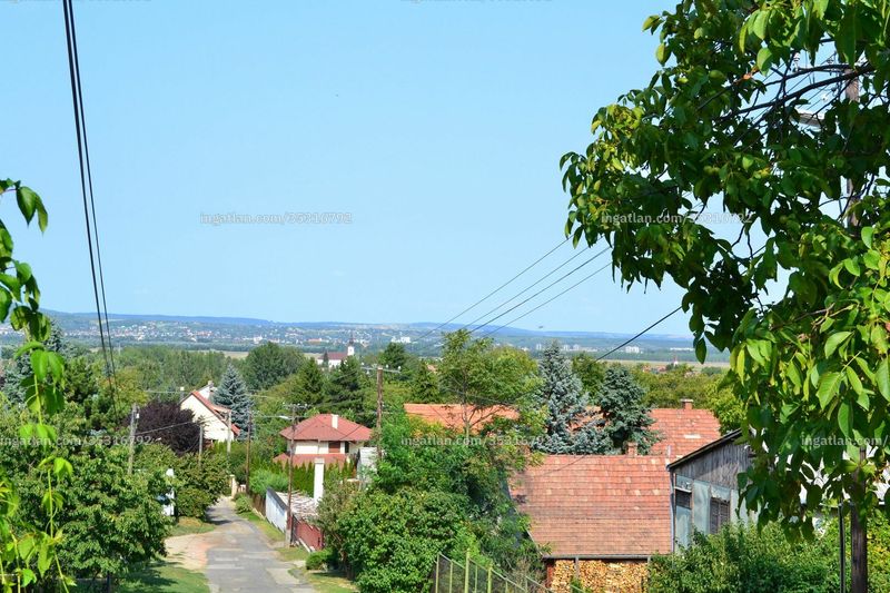 Foto auflisten