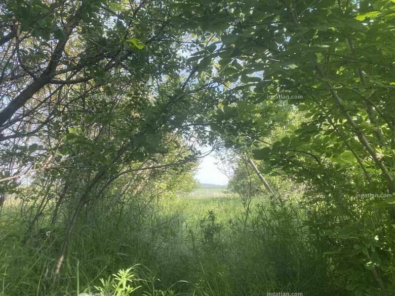 Foto auflisten