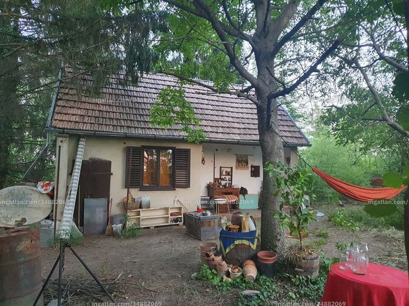 Foto auflisten