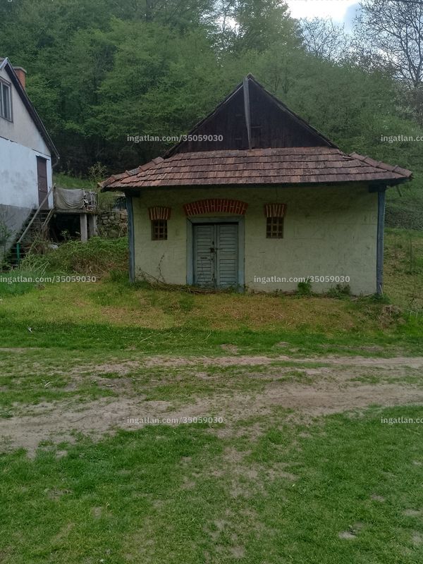 Eingang