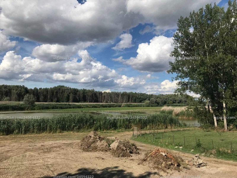 Foto auflisten