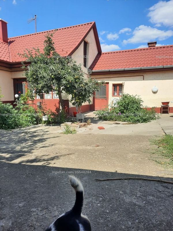 Bild über die Immobilie