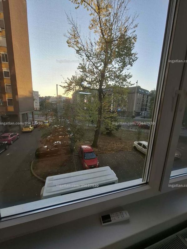 neighborhood