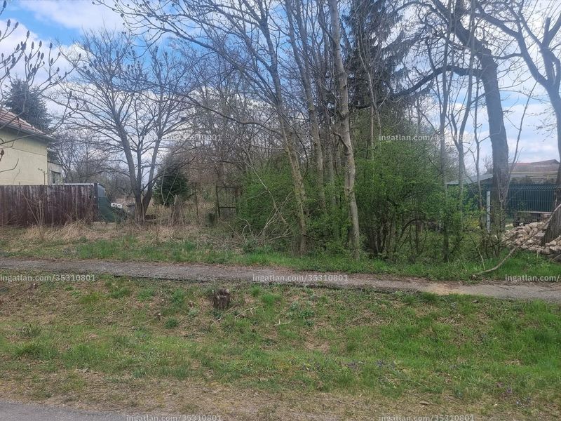 Foto auflisten