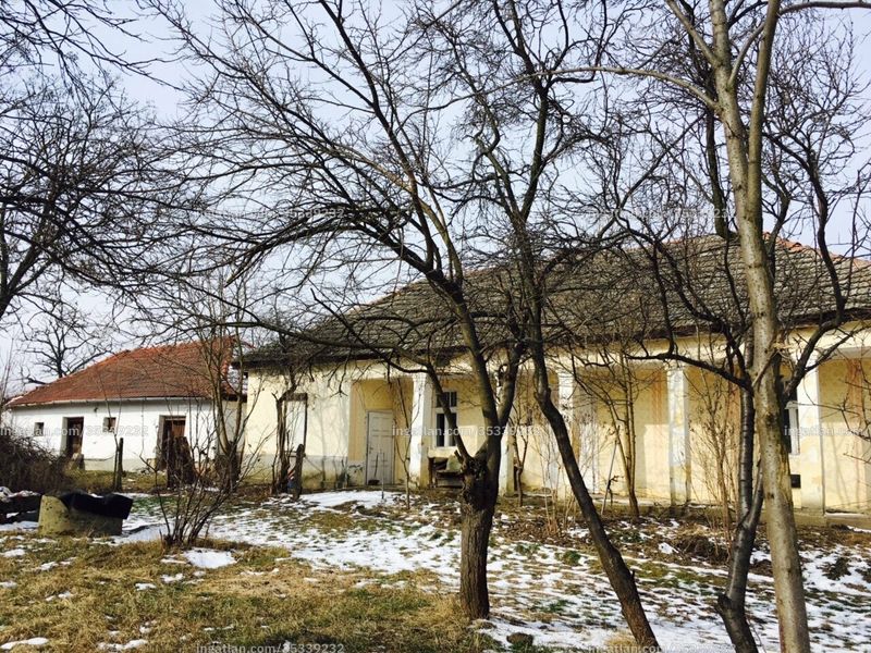 Ingatlan kép