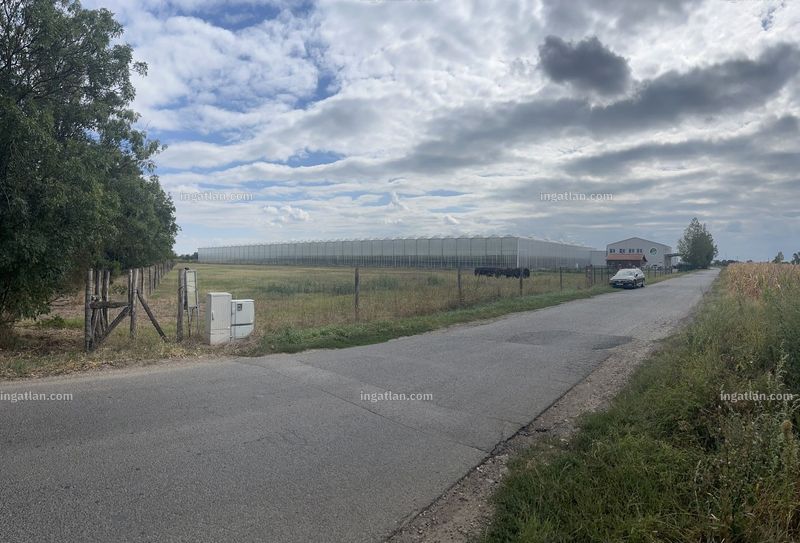 Foto auflisten