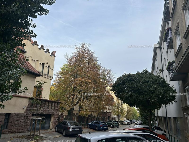 neighborhood