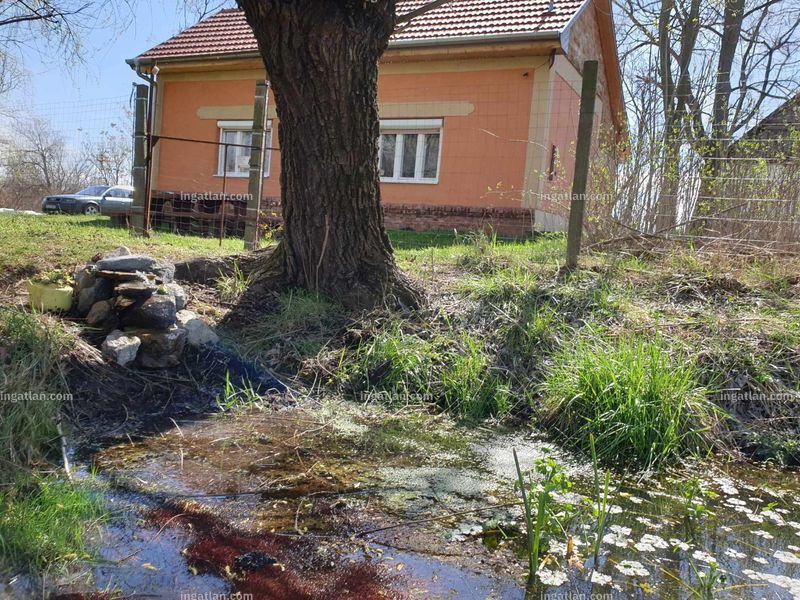 Foto auflisten