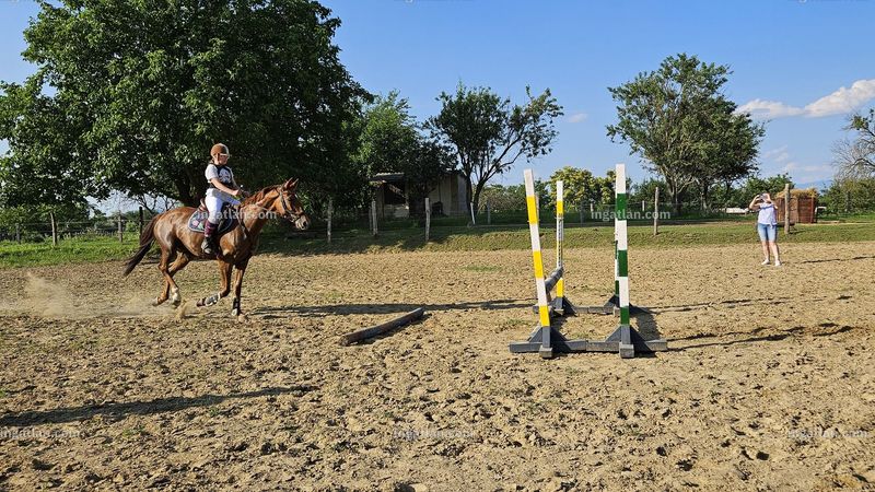 Bild über die Immobilie
