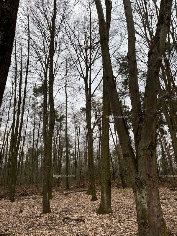 Foto auflisten