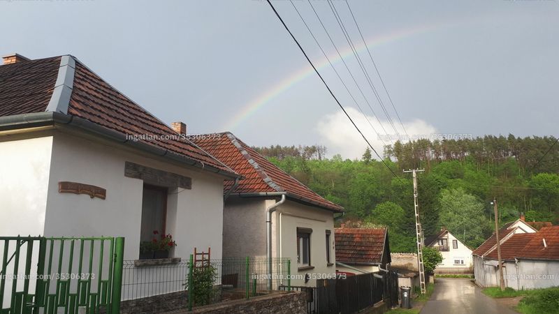 neighborhood