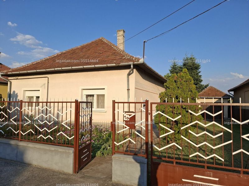 Ingatlan kép