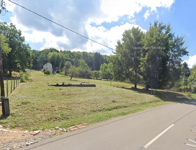neighborhood