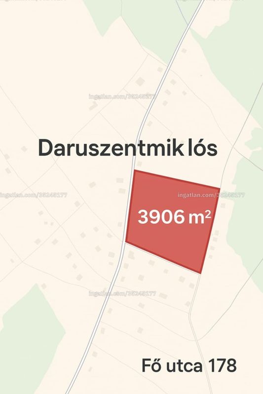 Foto auflisten
