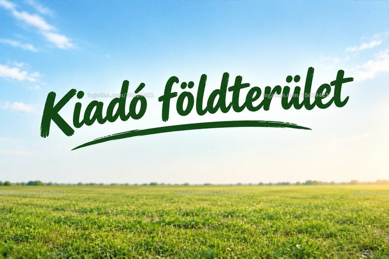 Bild über die Immobilie