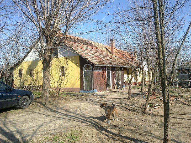 Listing photo