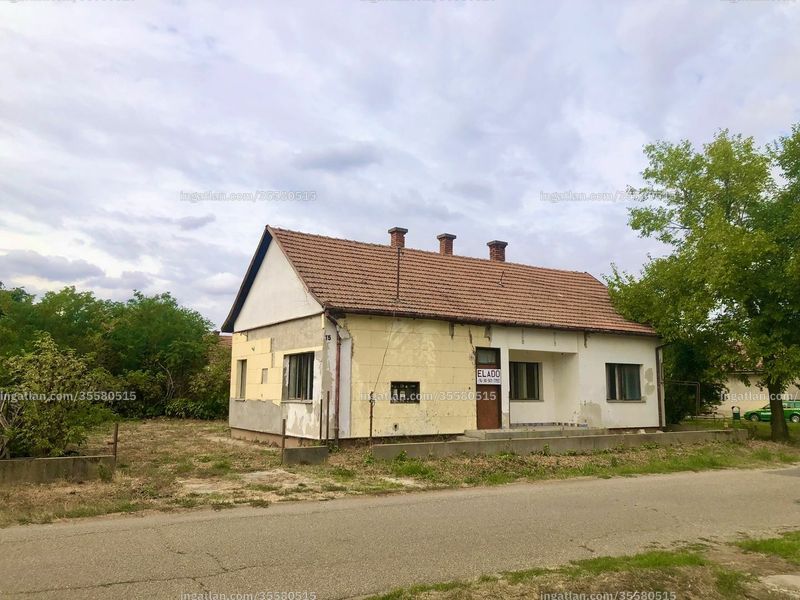 Kép az ingatlanról